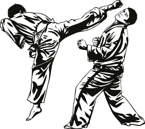Picture of Tae Kwon Do