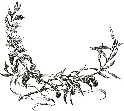 Picture of Two branches