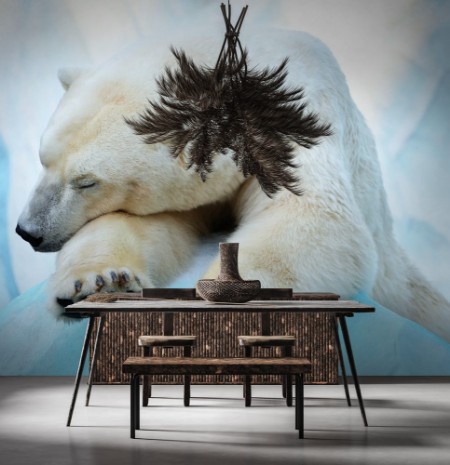 Picture of Polar Bear Nap