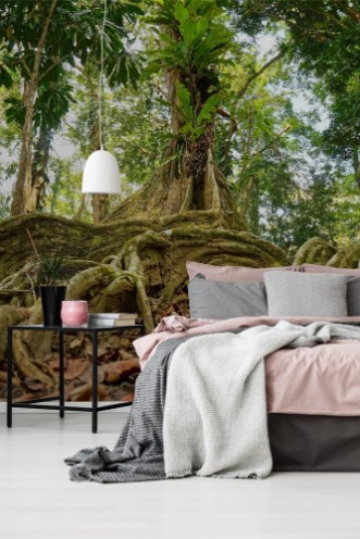 Afbeeldingen van Tropical tree in the jungle of Costa Rica