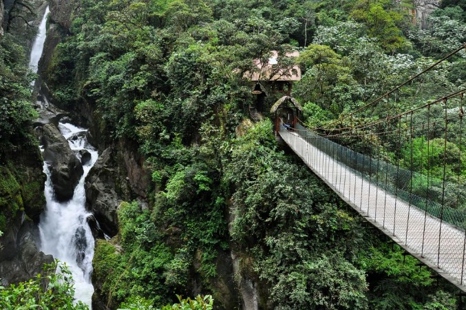 Picture of Suspended bridge in Banos Santa Agua Ecuador