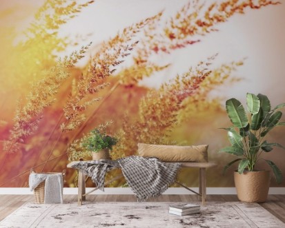 Image de Beautiful high grass - closeup