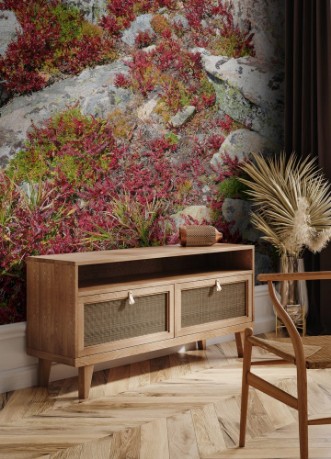 Image de Alpine Tundra Groundcover in Autumn colors Rocky Mountains USA