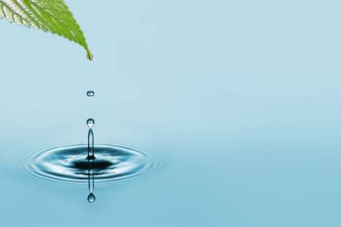 Picture of Water drop