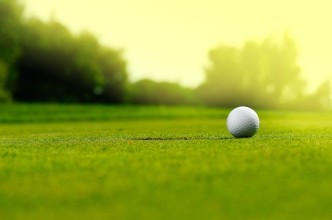 Picture of In the hole