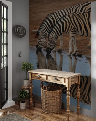 Image de Plains Zebras drinking water Etosha National Park