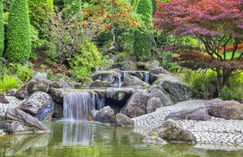 Picture of Cascade waterfall in Japanese garden in Bonn
