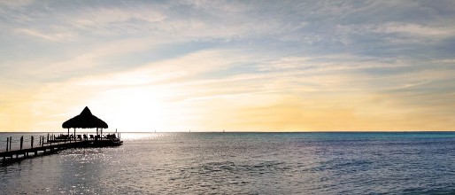 Picture of Dominican Republic - Bayahibe