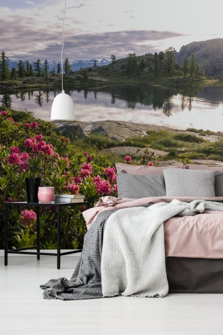 Image de Alba su fiori e lago di montagna