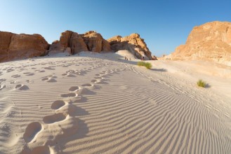 Obrázek Desert