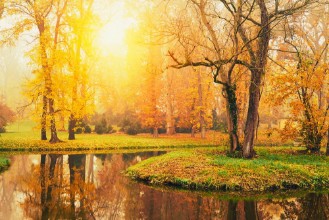 Image de Autumn lake in the park