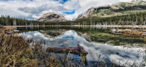 Picture of Buller Pond Panoramic