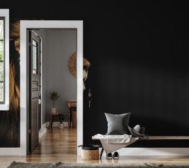 Picture of Portrait of a big male African lion on black