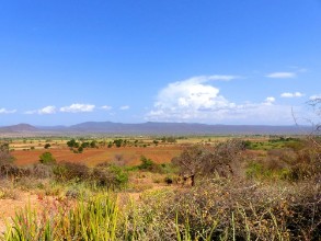 Picture of Landschaft nahe Gorofani Mangola Tansania Afrika