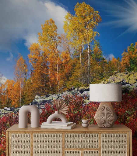 Imagem de Birch trees on the rocks