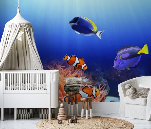 Picture of Sea anemone and clown fish