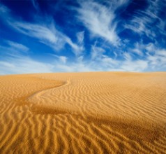 Image de Desert sand dunes on sunrise