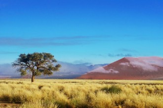 Afbeeldingen van Dunes of Namib desert Namibia South Africa