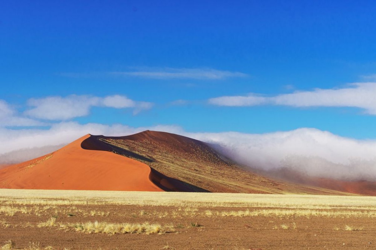Image de Dunes of Namib desert Namibia South Africa