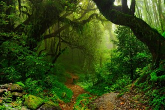 Bild von Selva Nepal