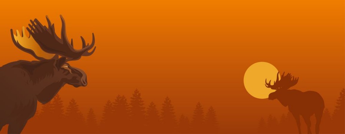 Slika Moose against the evening nature