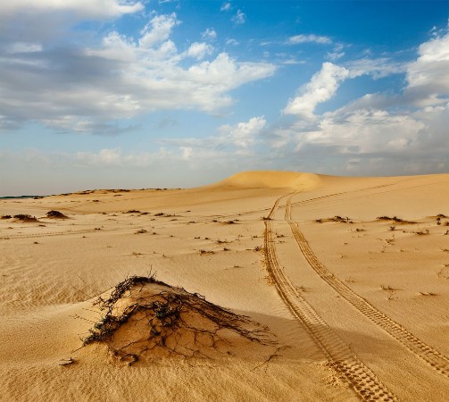 Bild på Sand dunes on sunrise Mui Ne Vietnam