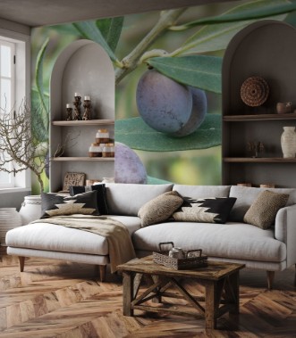 Image de Olve Olea europaea