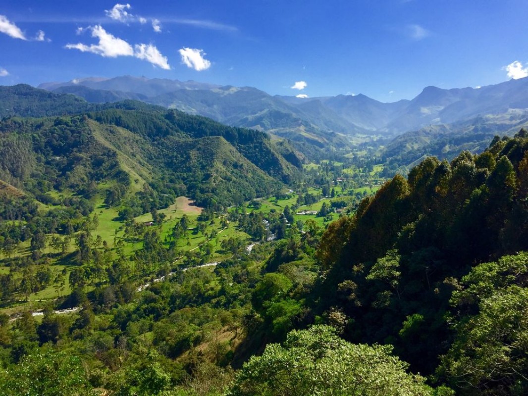 Picture of Mountain at Cocora Colombia
