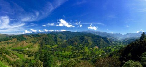 Picture of Eje Cafetero Mountains
