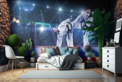 Obrázek Two professional female karate fighters are fighting