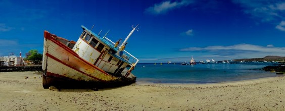 Picture of Marina in san cristobal galapagos islands ecuador