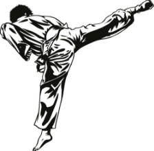 Image de Taekwon-do