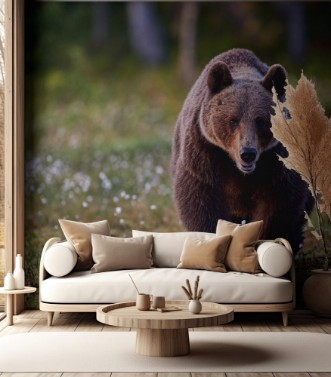 Afbeeldingen van Brown bear frontally