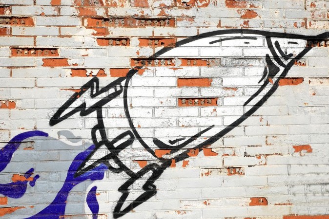 Picture of Rocket-graffiti-Spain