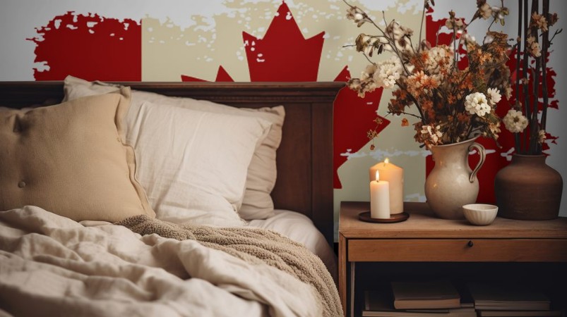 Afbeeldingen van Canadian grunge flag Vector illustration