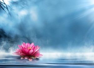 Afbeeldingen van Spirituality zen in peaceful scenery