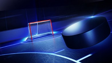 Bild på Hockey ice rink and goal