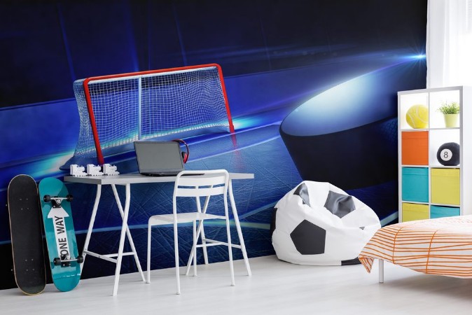 Picture of Hockey ice rink and goal