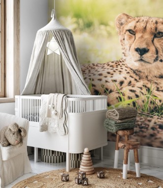 Afbeeldingen van Close-up of cheetah lying in grass Tenikwa wildlife sanctuary