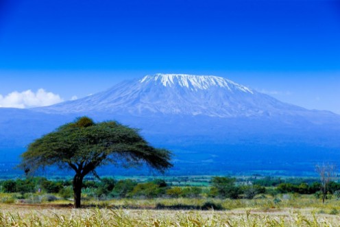 Kilimanjaro landscape photowallpaper Scandiwall