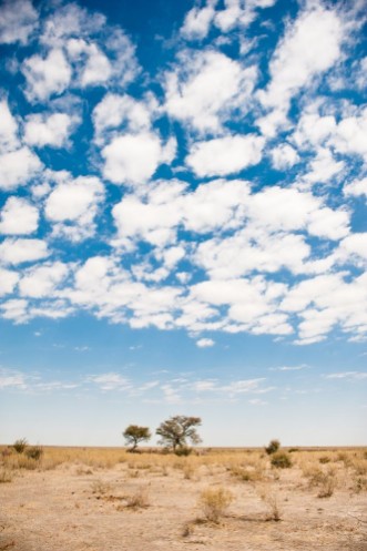 Afbeeldingen van Botswana Africa