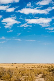 Image de Botswana Africa