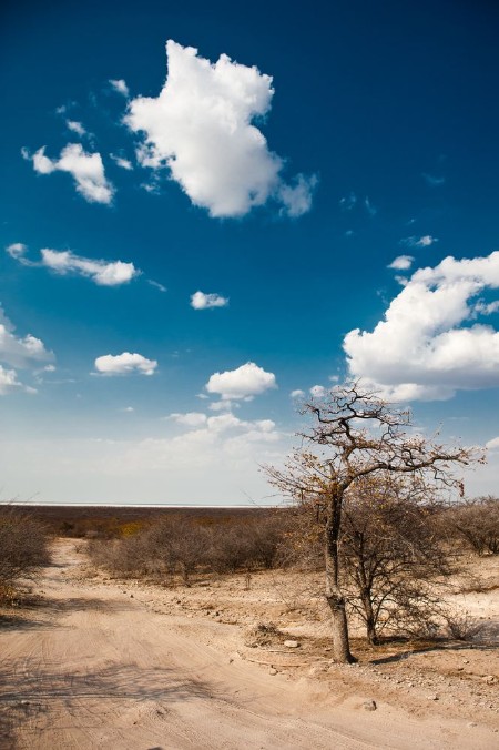 Image de Botswana Africa