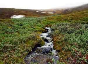 Pilt Creek meltwater