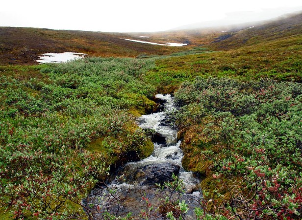 Imagem de Creek meltwater