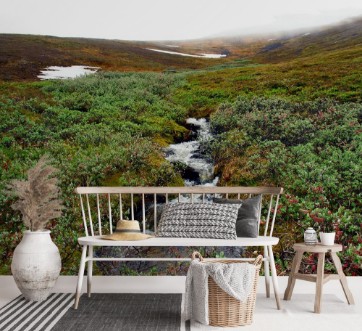 Picture of Creek meltwater