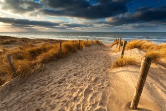 Bild von Sand path to North sea beach