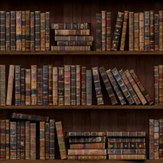Picture of Bookshelves