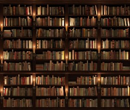 Afbeeldingen van Bookshelf Seamless texture vertically and horizontally