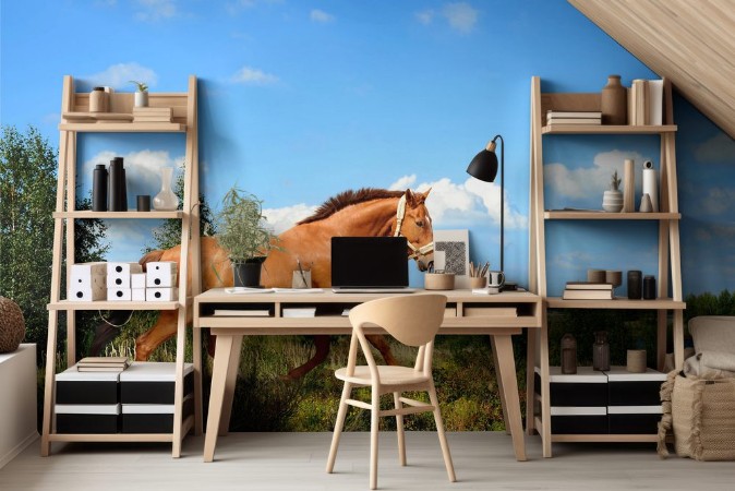 Picture of Pferde 132